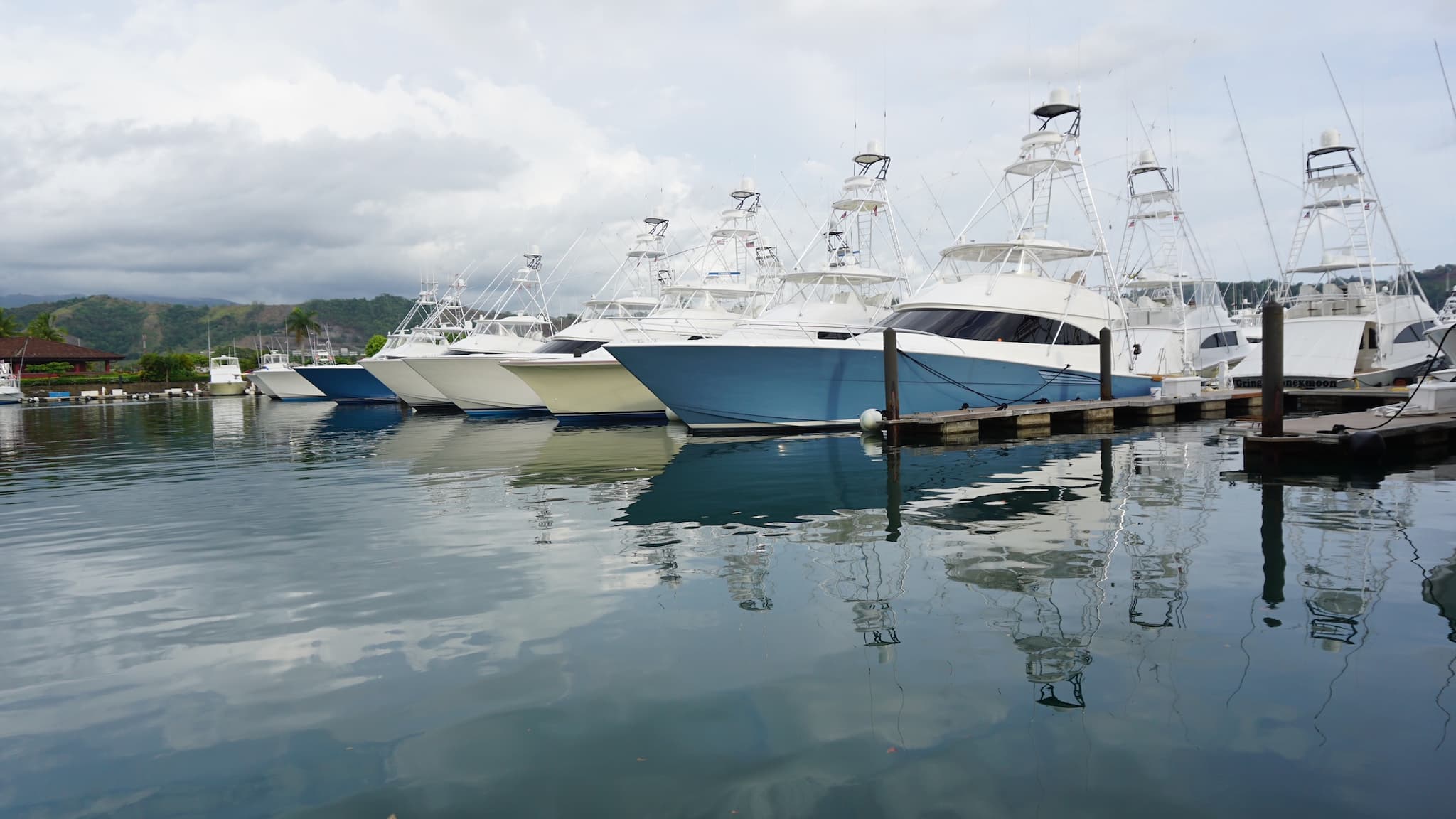 Sport Fishing boats docked in a marina.