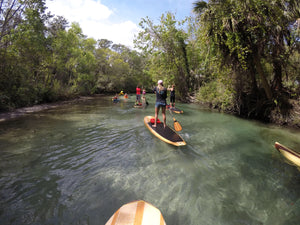 Paddle Boarding