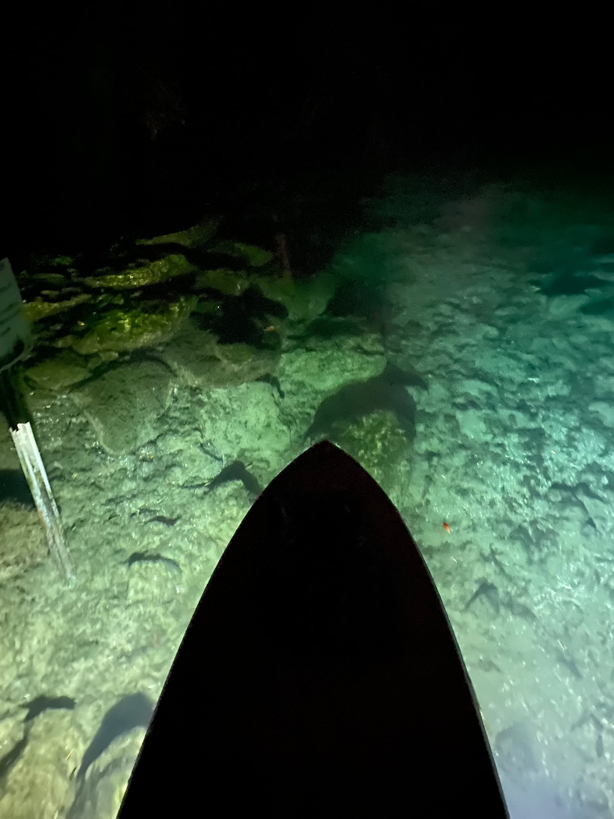 E-Sea Light- Suction Mounted Waterproof Floodlight- Underneath paddle board at night