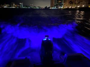 E-Sea Light- Suction Mounted Waterproof Floodlight